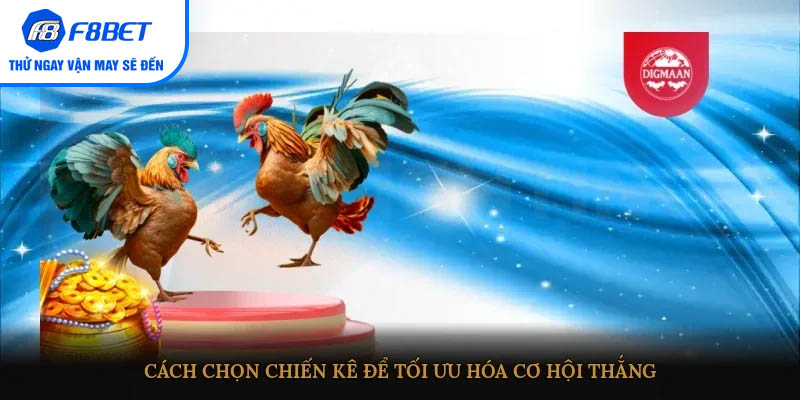 Cách chọn chiến kê để tối ưu hóa cơ hội thắng