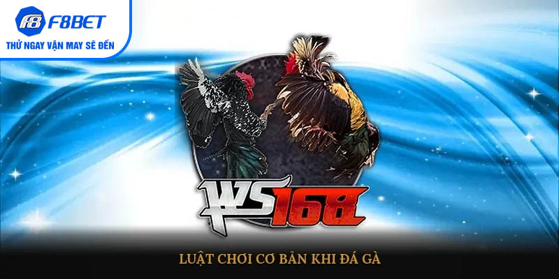 Luật chơi cơ bản khi đá gà