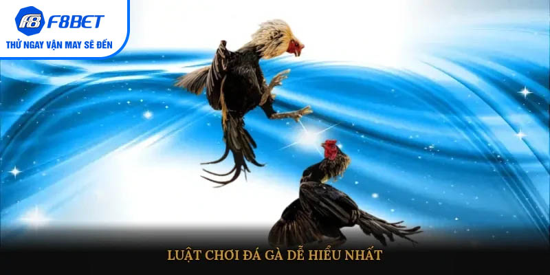 Luật chơi đá gà dễ hiểu nhất