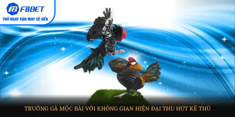 Trường gà Mộc Bài với không gian hiện đại, thu hút kê thủ